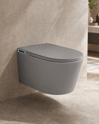 gris anthracite