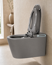 gris anthracite